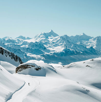 以服务为锚，助品牌深耕成长沃土