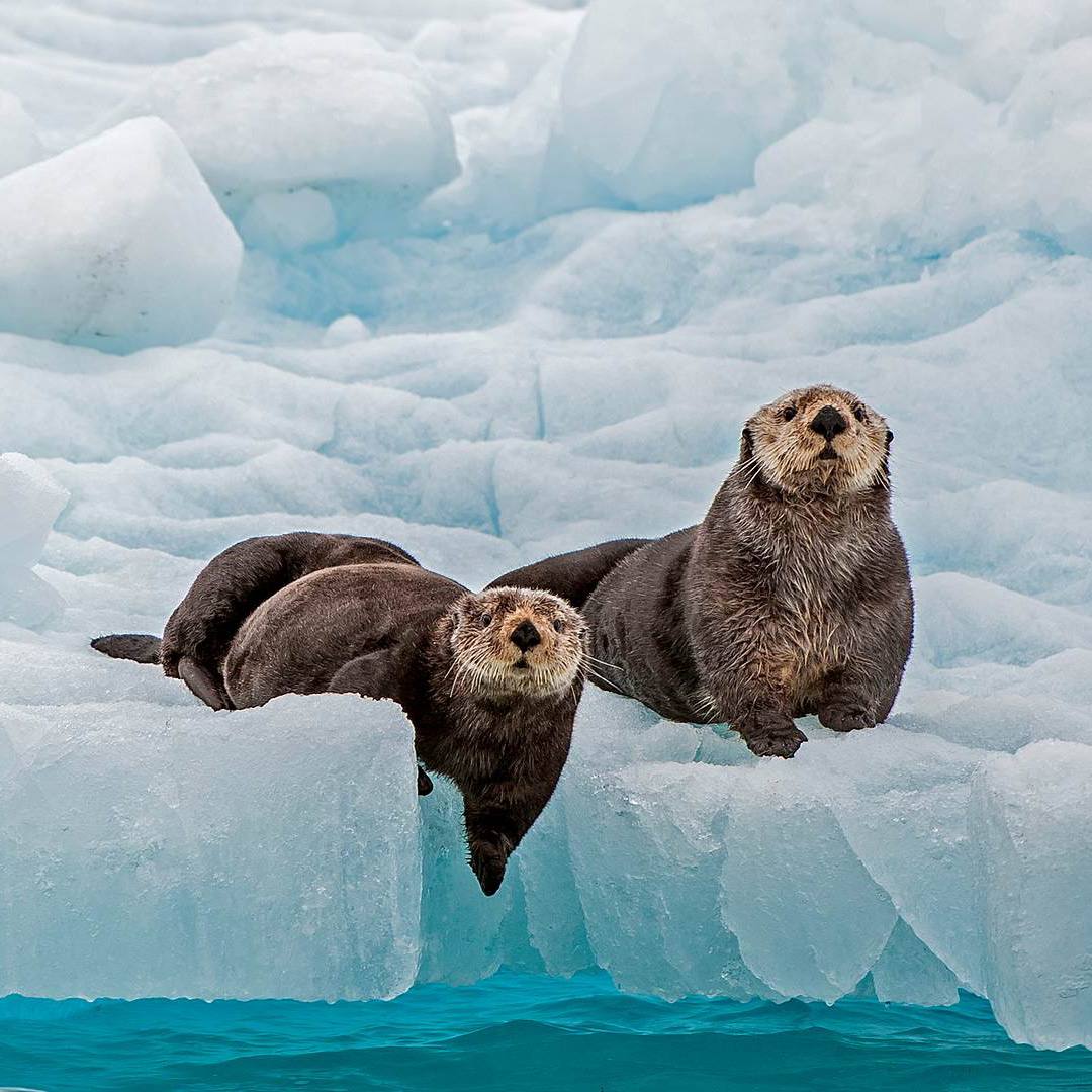 智能驱动增长：AI技术赋能移动流量的高效价值转化